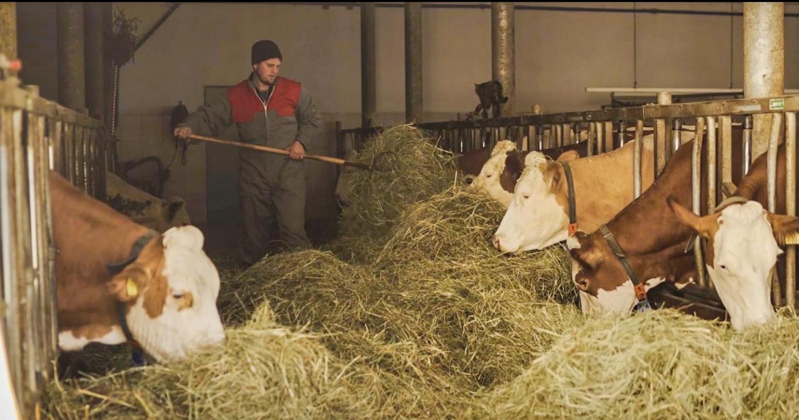 Gasserhof Campo di Trens Eksteriør billede