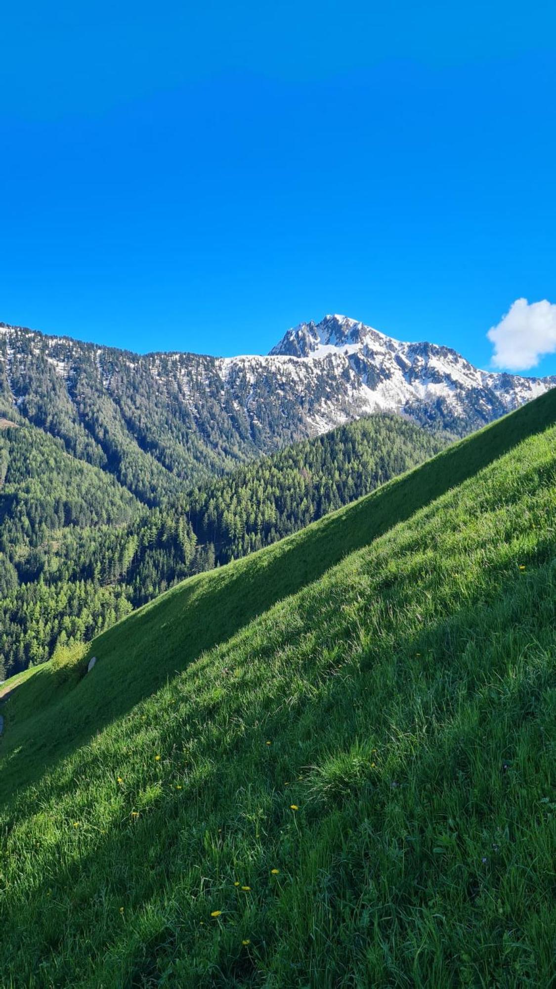 Gasserhof Campo di Trens Eksteriør billede
