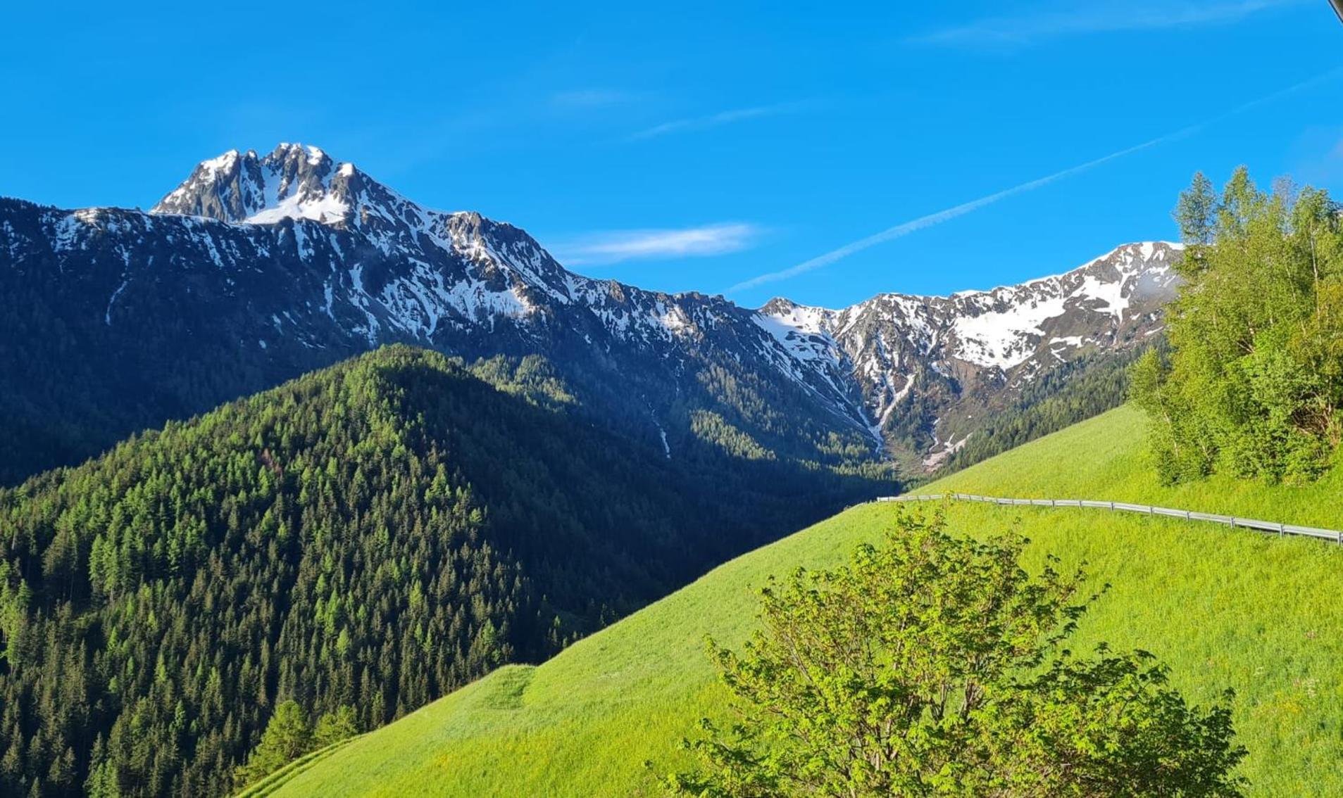 Gasserhof Campo di Trens Eksteriør billede