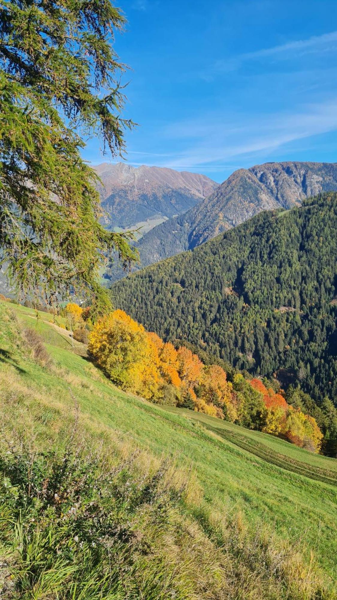 Gasserhof Campo di Trens Eksteriør billede